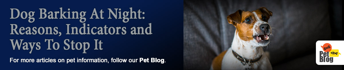 Banner-PetBlog-Dog-Barking-At-Night-Apr21.jpg