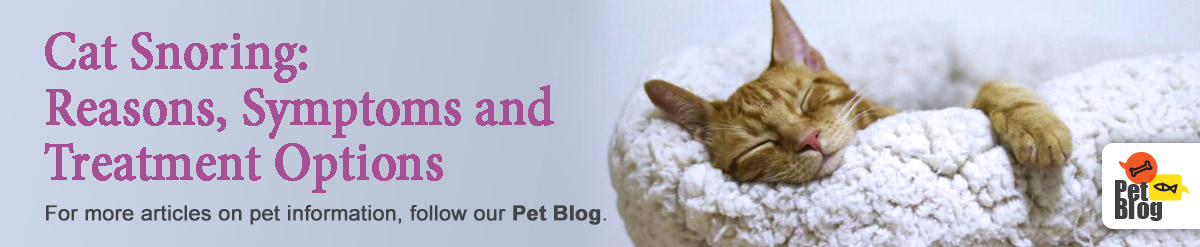 Banner-PetBlog-Cat-Snoring-Mar21.jpg