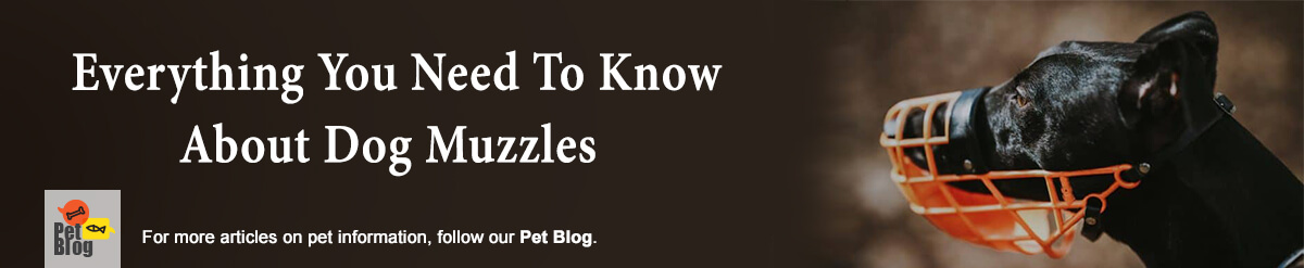 Banner-PetBlog-DogMuzzle-Aug20.jpg