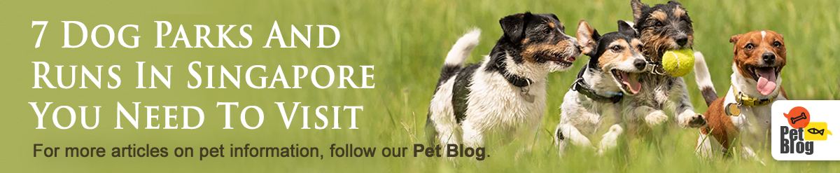 Banner-PetBlog-DogPark-Jan20.jpg