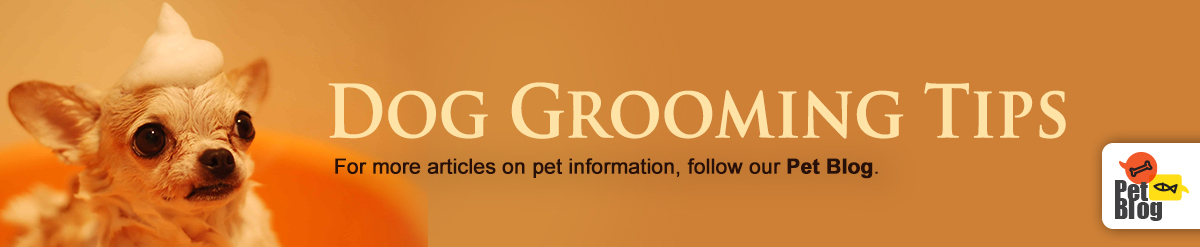 Banner-PetBlog-Groom-your-pet-at-home-Jun19.jpg