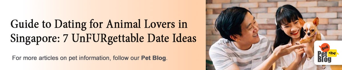 Banner-PetBlog-Dating.jpg