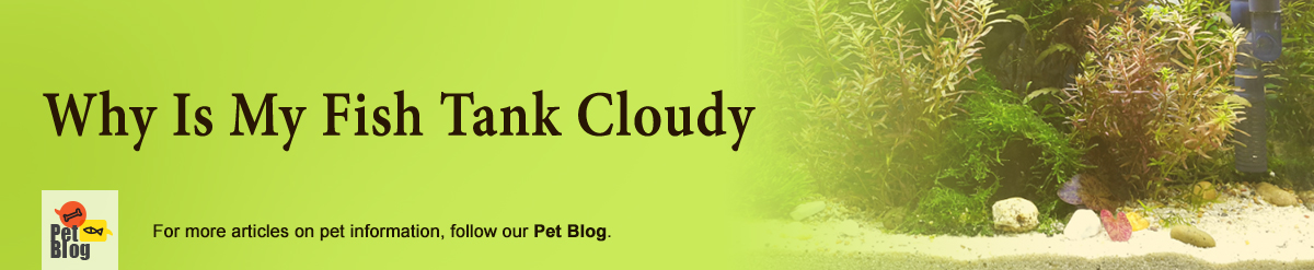 Banner-PetBlog-CloudyFishTank-Aug22.jpg